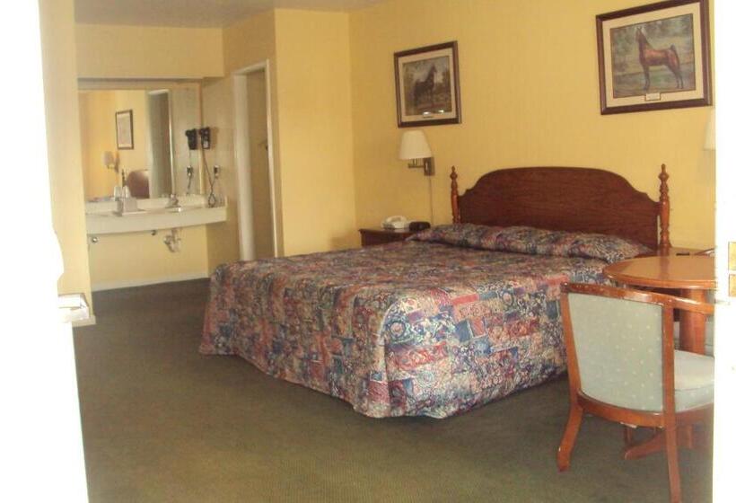 带大床的标准间, Executive Inn