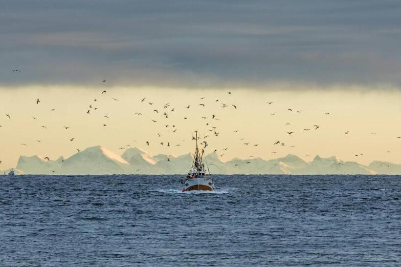 标准间, Henningsvær Guesthouse