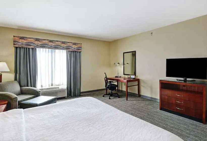 キングサイズベッドのスタンダードルーム, Hilton Garden Inn Boulder