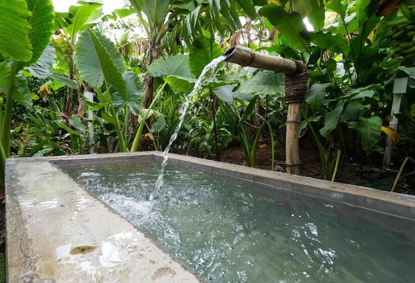 ویلای یک اتاق خوابه با استخر شنا, The Moso