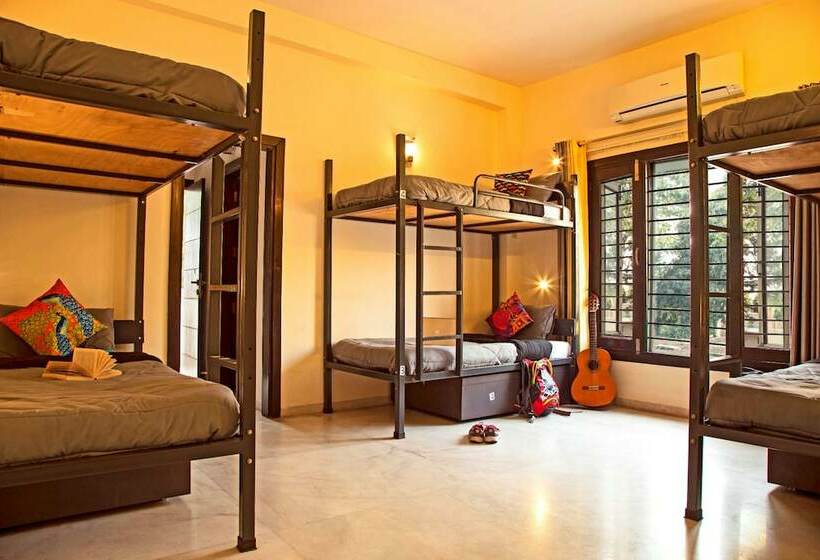 سرير فى غرفة مشتركه, Zostel South Delhi   Hostel