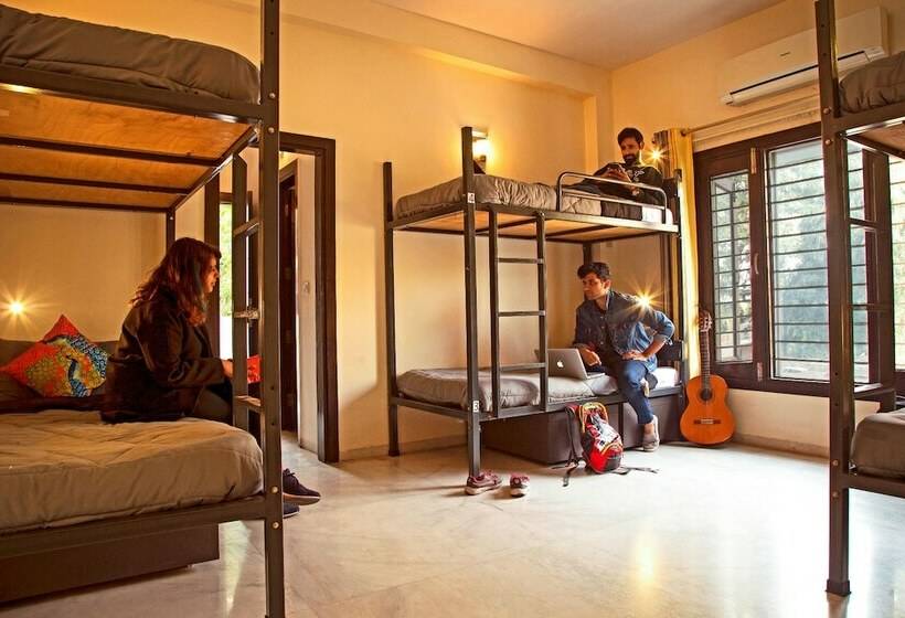 سرير فى غرفة مشتركه, Zostel South Delhi   Hostel