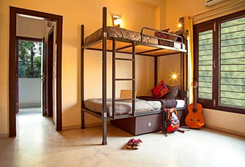 سرير فى غرفة مشتركه, Zostel South Delhi   Hostel