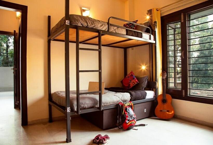 سرير فى غرفة مشتركه, Zostel South Delhi   Hostel