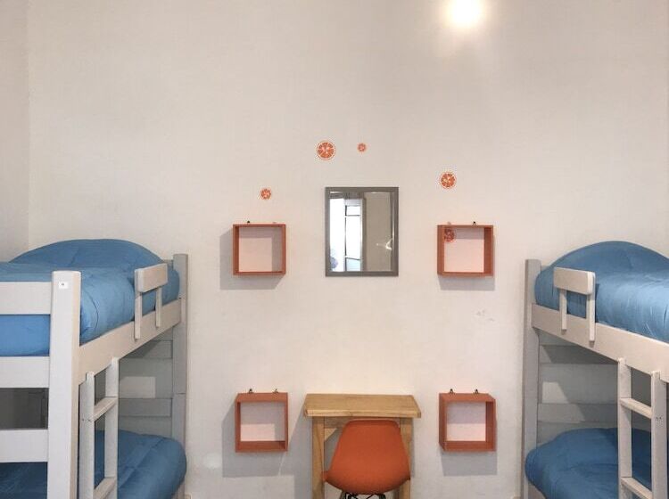 מיטה בחדר משותף, Student’s Hostel