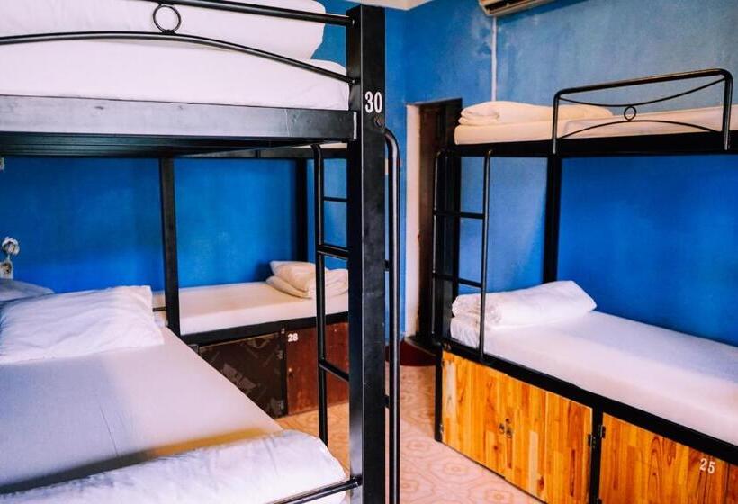 تختخواب در اتاق مشترک, Vietnam Backpacker Hostels   Hue