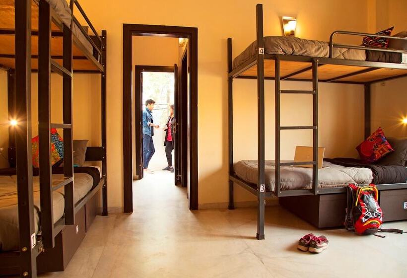 سرير فى غرفة مشتركه, Zostel South Delhi   Hostel