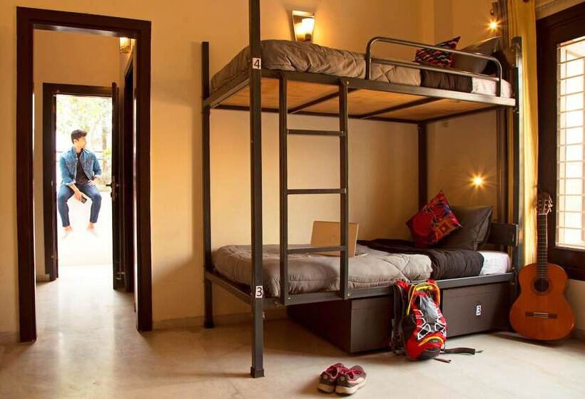 سرير فى غرفة مشتركه, Zostel South Delhi   Hostel