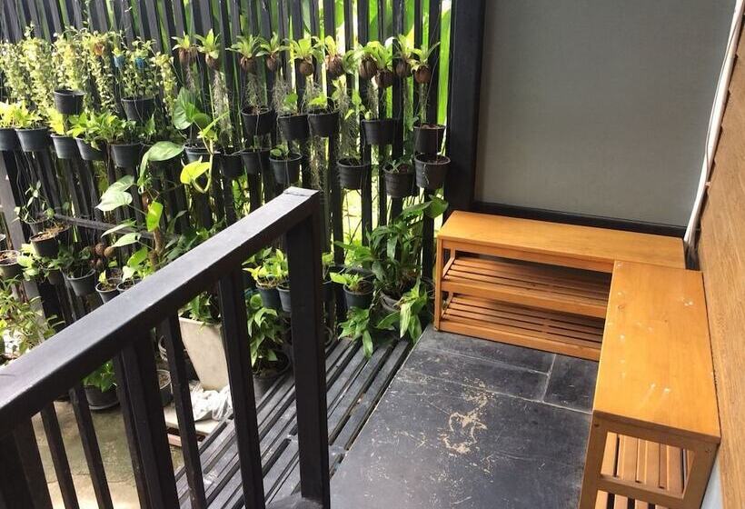 Quarto Estandar, Decho Hostel