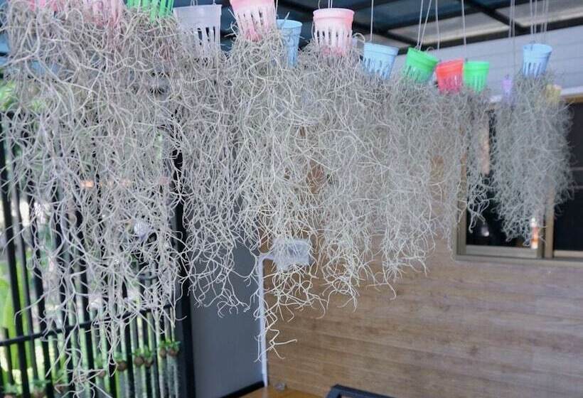 Quarto Estandar, Decho Hostel