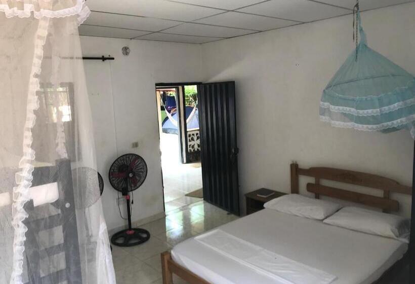 اتاق کلاسیک چهارنفره, Palomino Hostel