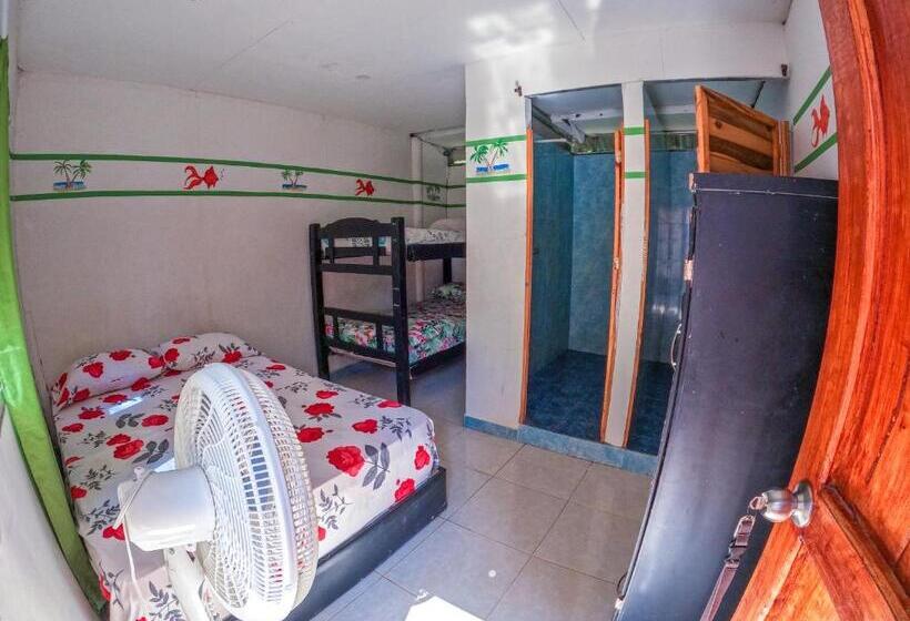 اتاق استاندارد چهار تخته, Palomino Hostel