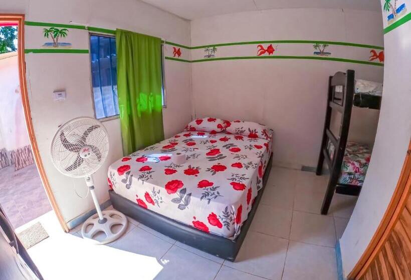 اتاق استاندارد چهار تخته, Palomino Hostel