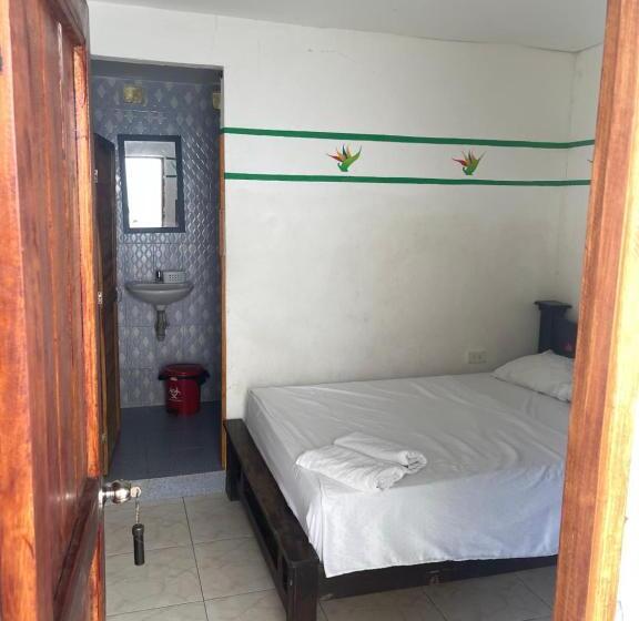 اتاق استاندارد, Palomino Hostel