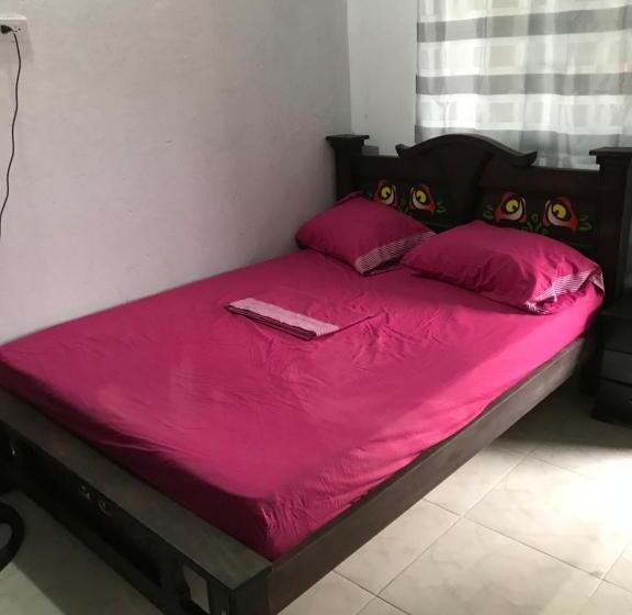 غرفة إقتصادية, Palomino Hostel