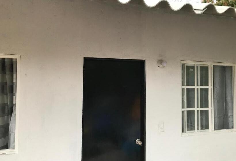 اتاق اکونومی, Palomino Hostel