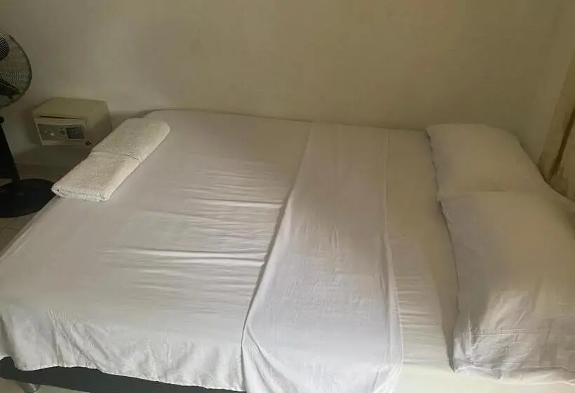 エコノミールーム, Palomino Hostel