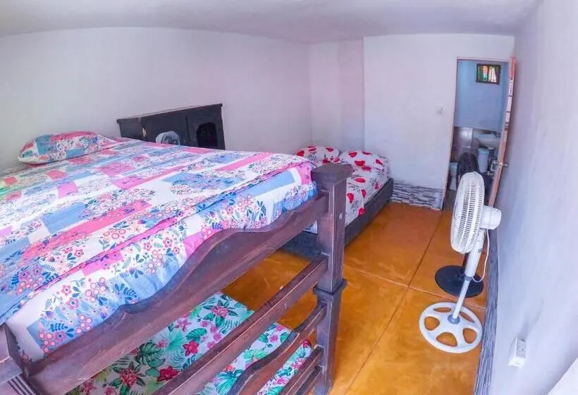 エコノミー4人部屋, Palomino Hostel