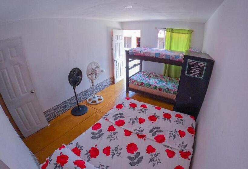 Economy Quadruple Room, Palomino Hostel