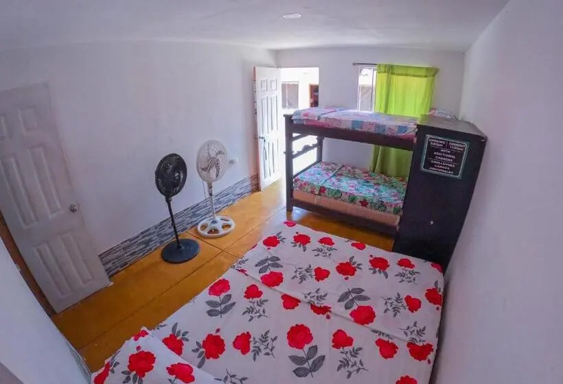 エコノミー4人部屋, Palomino Hostel