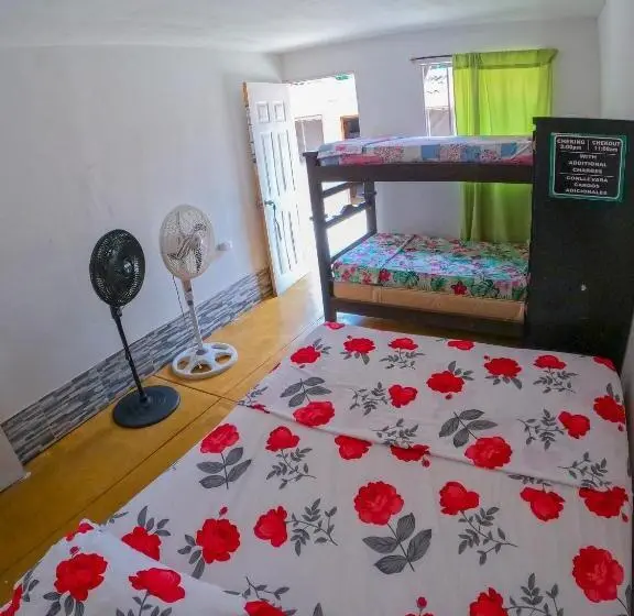 エコノミー4人部屋, Palomino Hostel