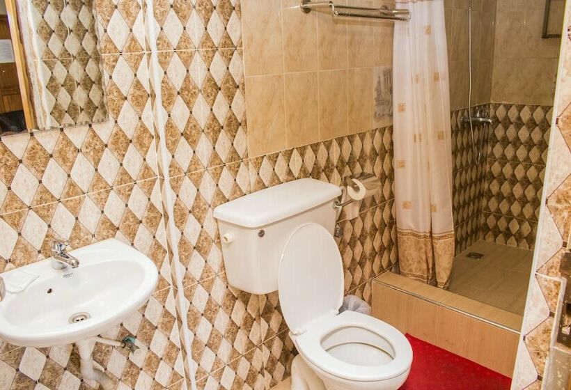 Standard Single Room, Lovista