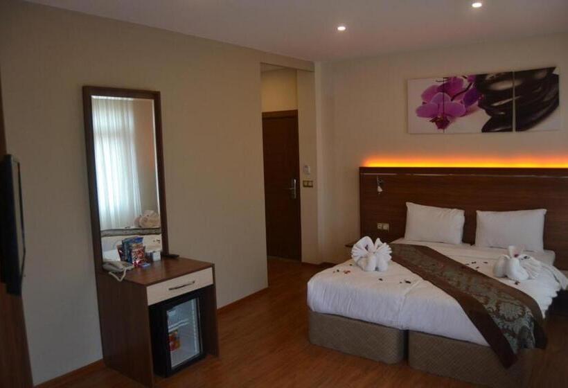 스탠다드 트리플 룸, Manzara