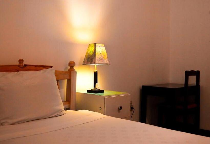 Standard Yhden Hengen Huone, Vibes Aurik