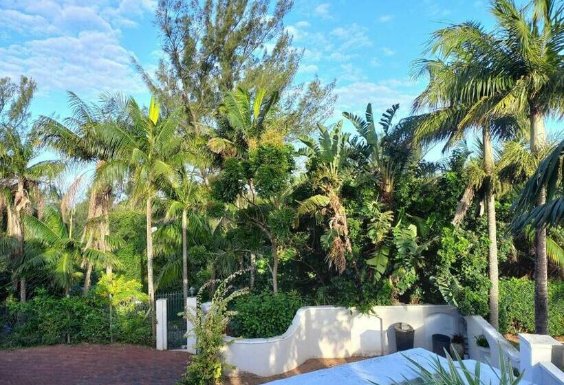 豪华房间, Villa Roc Guesthouse   Solar Power