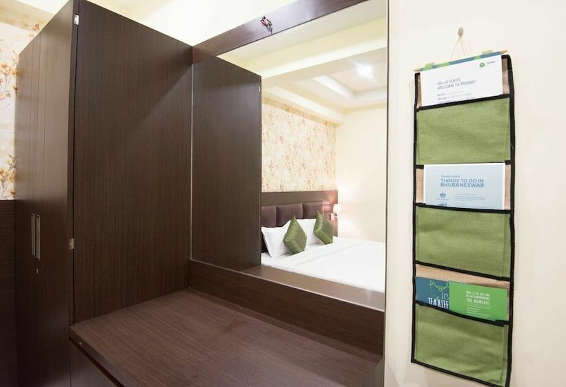 Номер Стандарт, Treebo King S Court Chandrasekharpur