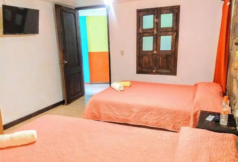 ベーシックルーム, Posada Jardin Huasteca Xilitla