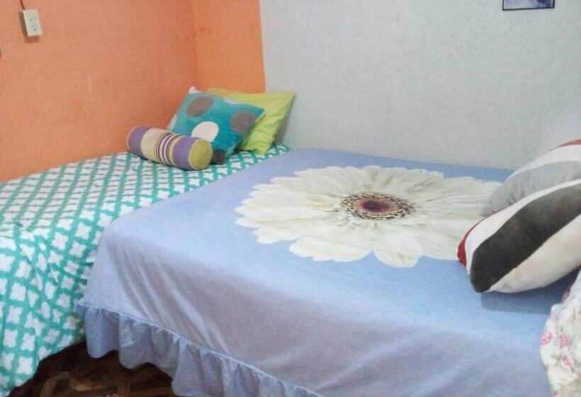 스탠다드 도시전망 룸, Posada Jardin Huasteca Xilitla