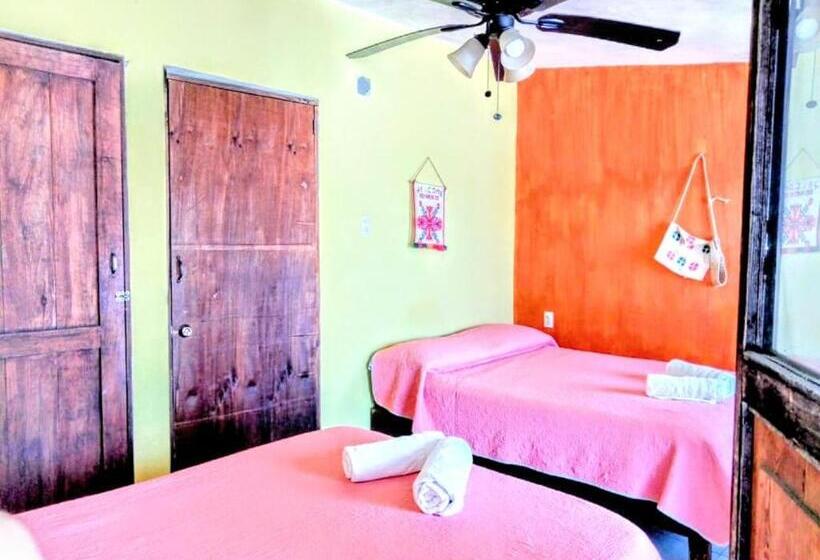 스탠다드 도시전망 룸, Posada Jardin Huasteca Xilitla