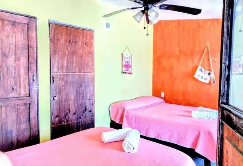 スタンダードシティビュールーム, Posada Jardin Huasteca Xilitla