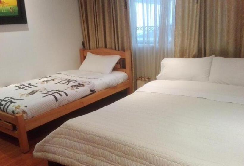 标准单人间, D Lujo