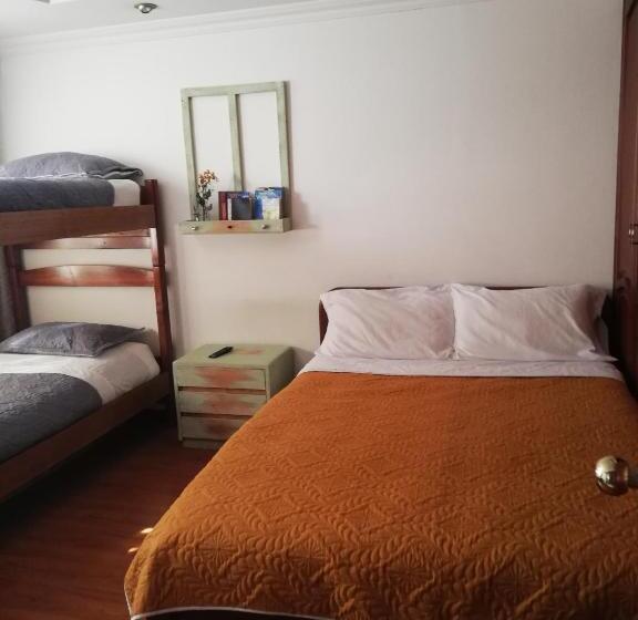 四人高级间, D Lujo