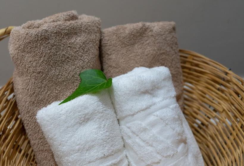 اتاق لوکس, De Akker Guest House Oudtshoorn