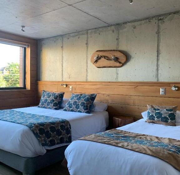 חדר סטנדרט לשלושה, Amun