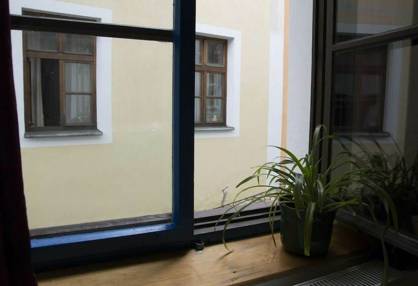 ベーシックルーム, Red Point