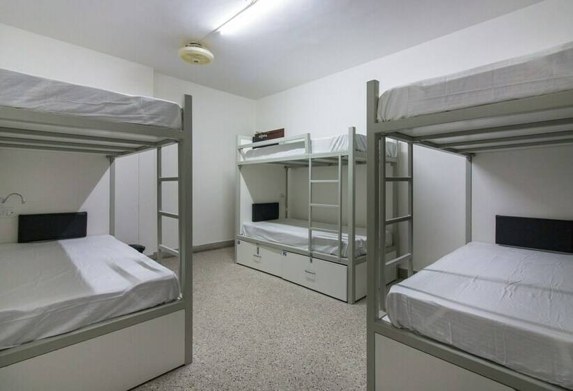 Llit en Habitació Compartida, Backpacker Panda Bengaluru