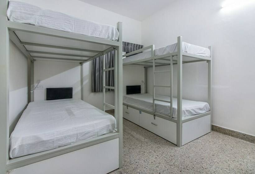 Llit en Habitació Compartida, Backpacker Panda Bengaluru