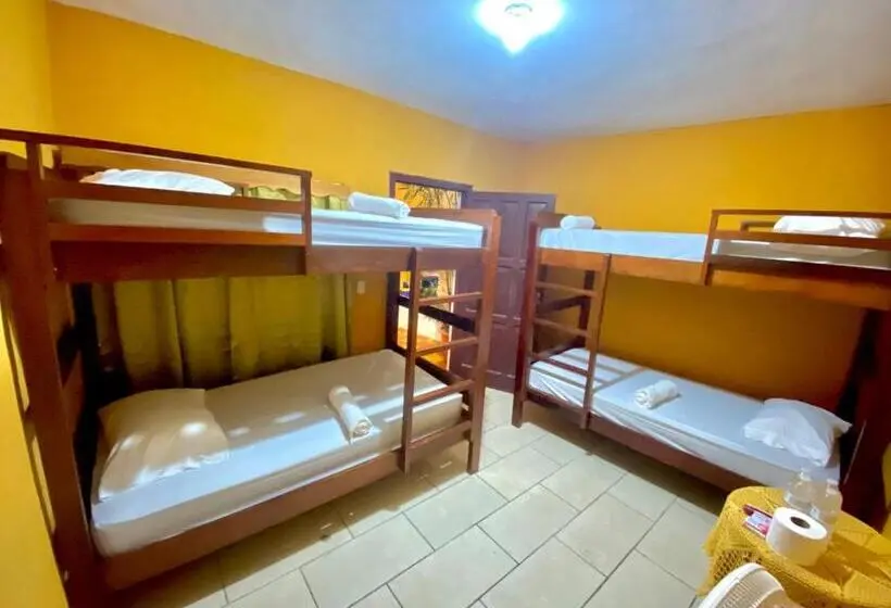 تختخواب در اتاق مشترک, San Miguel