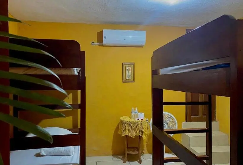 تختخواب در اتاق مشترک, San Miguel