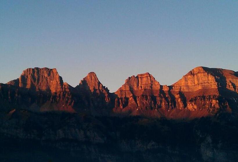 スタンダードルーム, Tannenboden