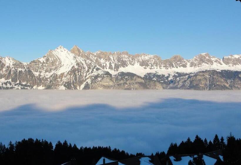 山の見えるジュニアスイート, Tannenboden