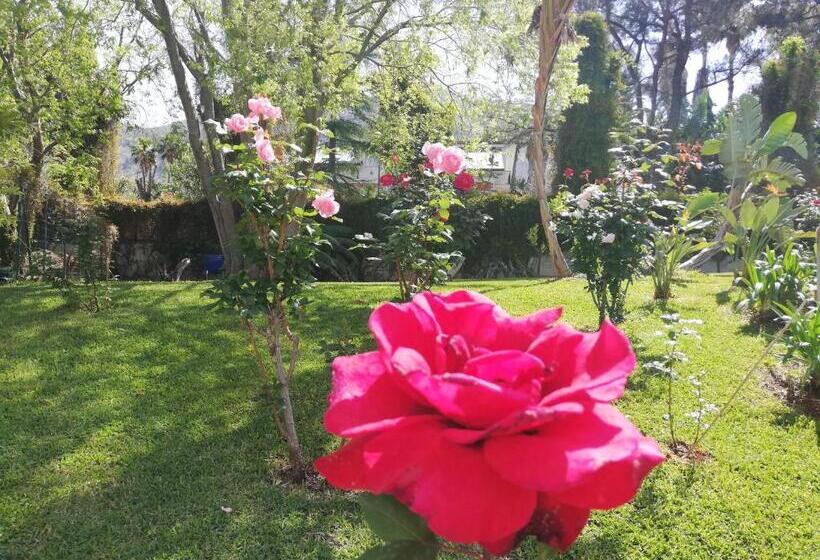 חדר סטנדרט לארבעה, B & B Villa Flora