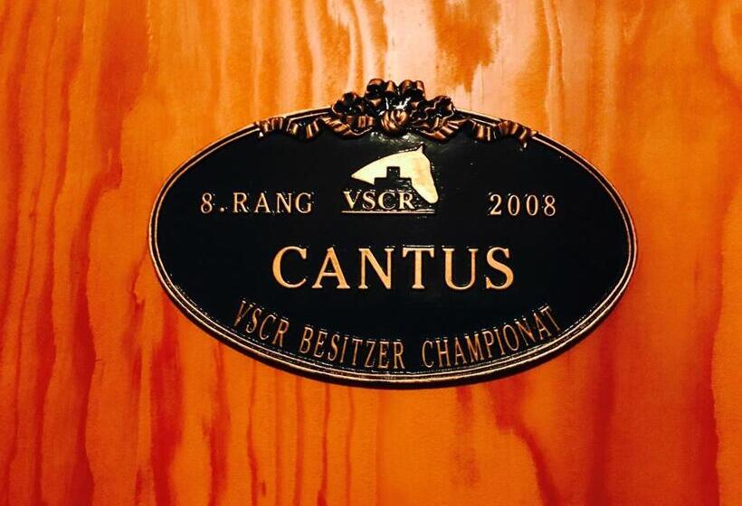 スーペリアールーム, Auberge De L Assesseur   Mont Soleil