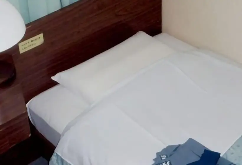 Economy Yhden Hengen Huone, Business Hotel Heisei