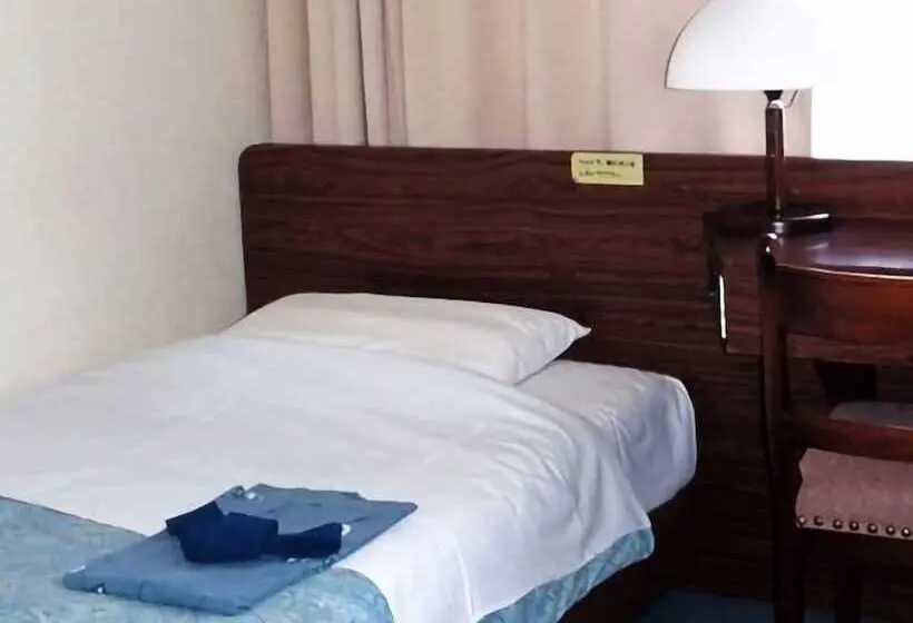 Economy Yhden Hengen Huone, Business Hotel Heisei