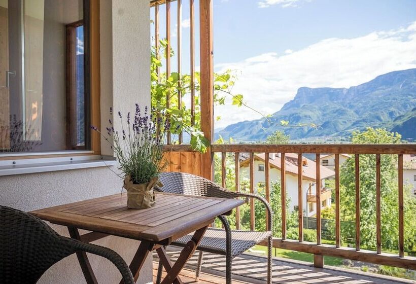 高级大房间, Biohotel Theiner S Garten